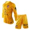 Original Trikotsatz Atlético Madrid Torwart Ausweichtrikot 2024-25 Langarm Für Kinder